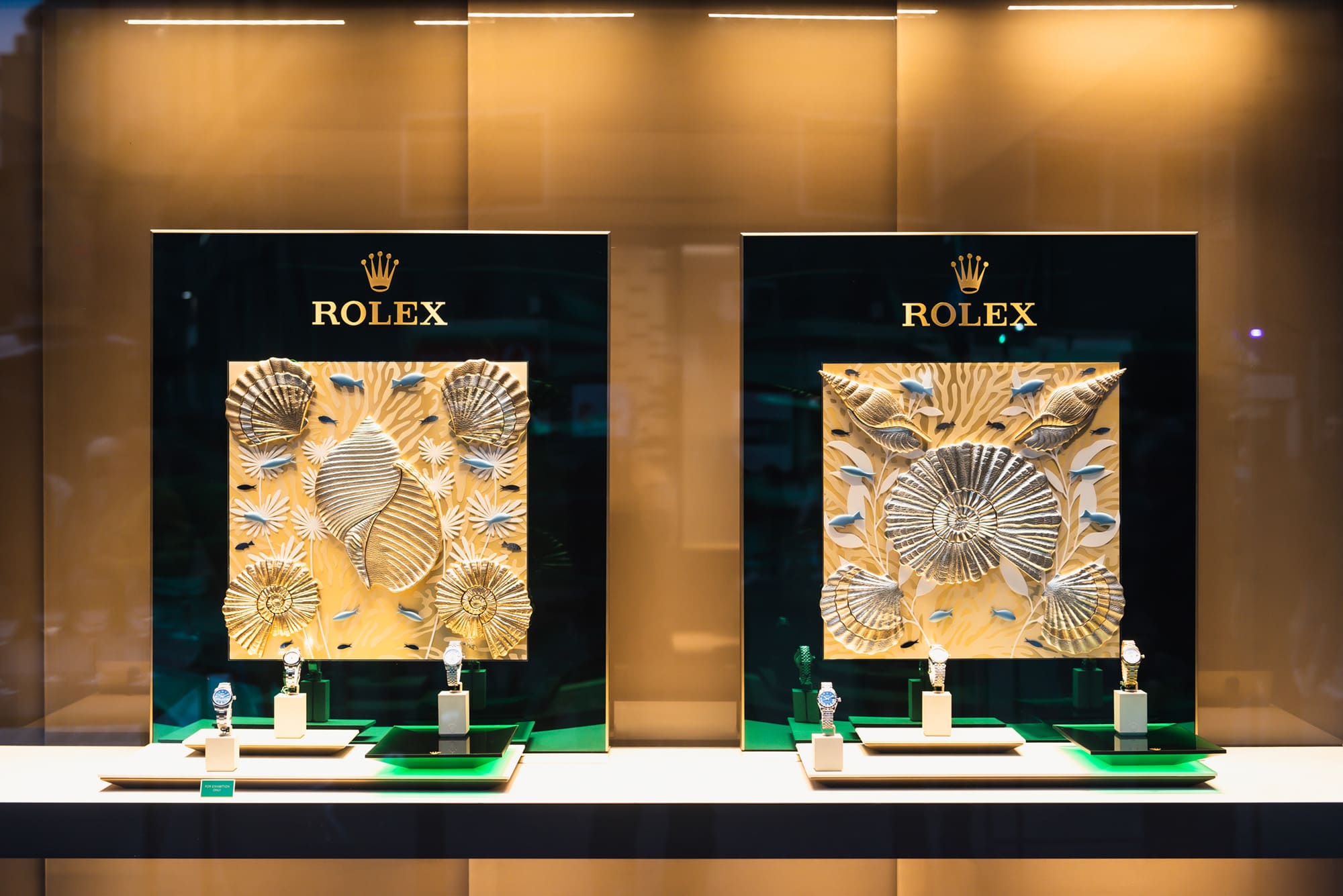 0100 Zac 7920 2022 03 26