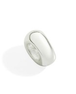 Immagine Rondella argento grande