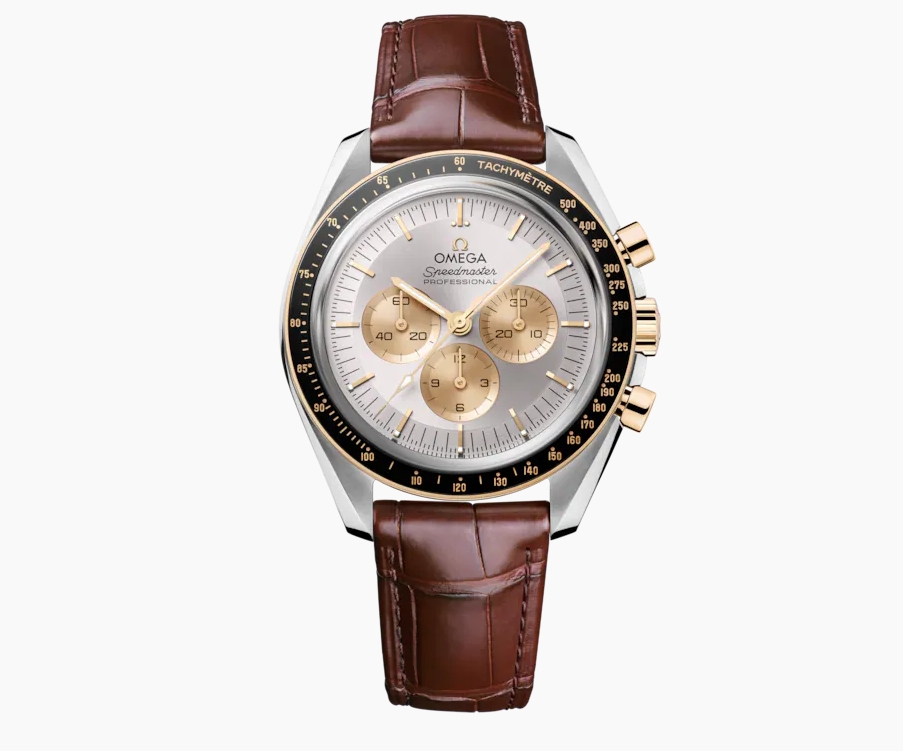 Immagine Speedmaster Moonwatch Professional