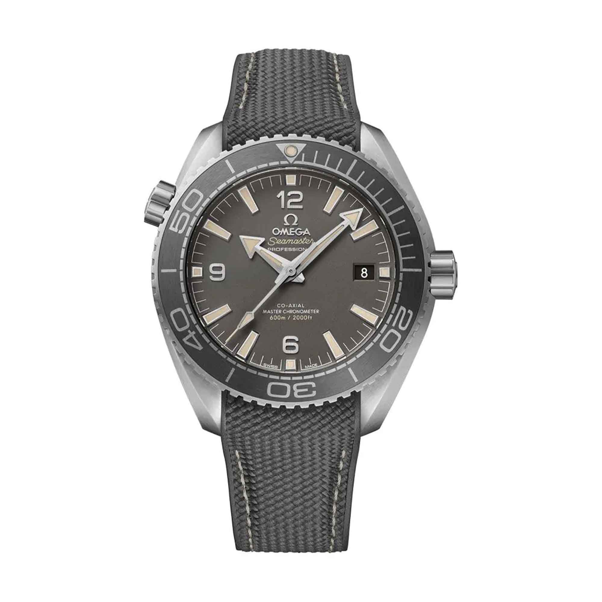 Immagine OMEGA Seamaster Planet Ocean 600M