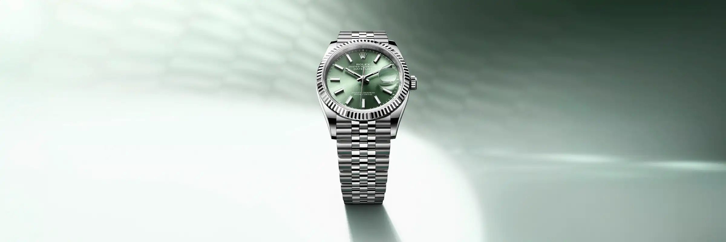 Rolex Collection Banner Datejust M126234 0051 2210jva