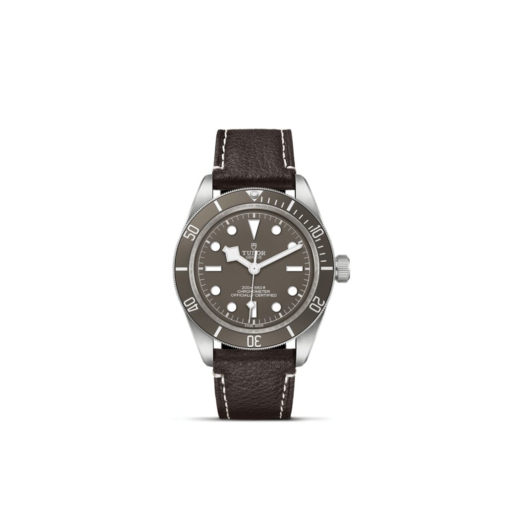 Tudor Black Bay