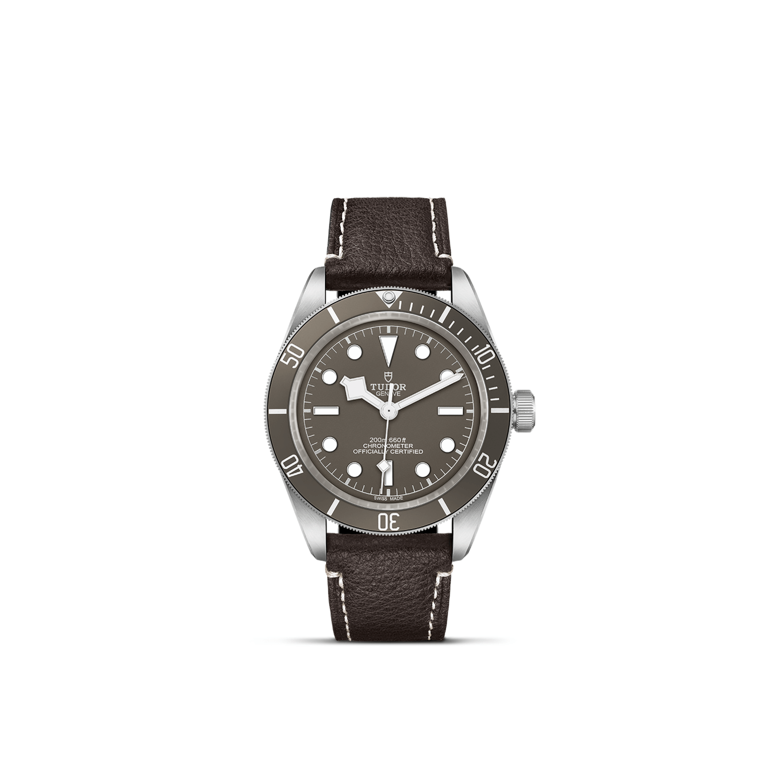 Tudor Black Bay