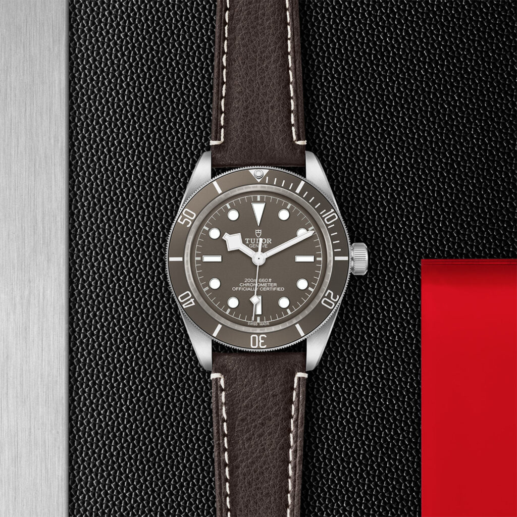 Tudor Black Bay