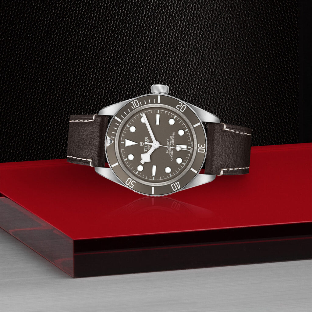 Tudor Black Bay