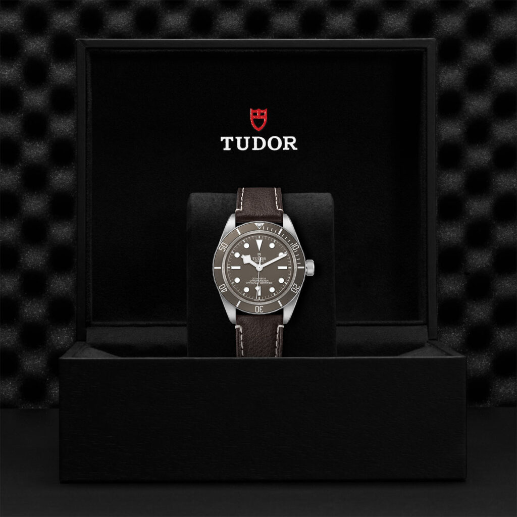 Tudor Black Bay