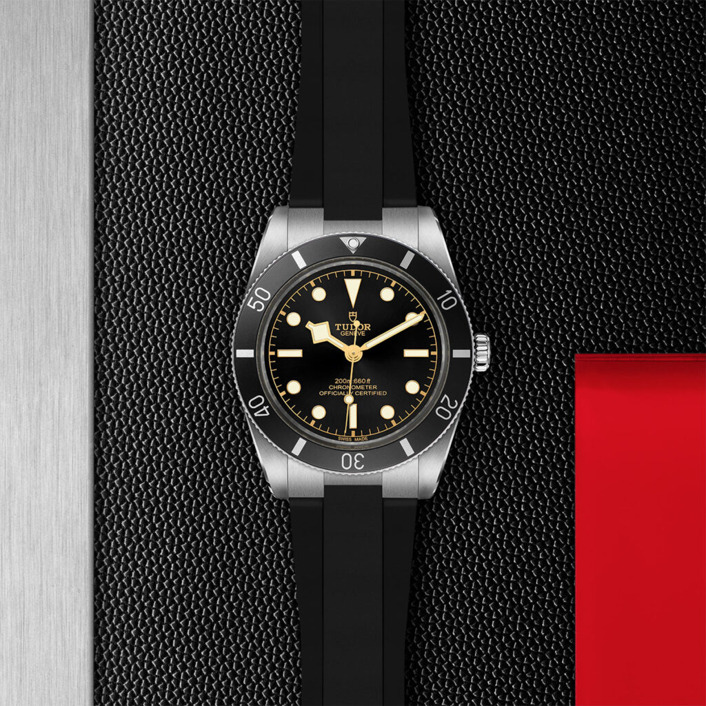 Tudor Black Bay 54