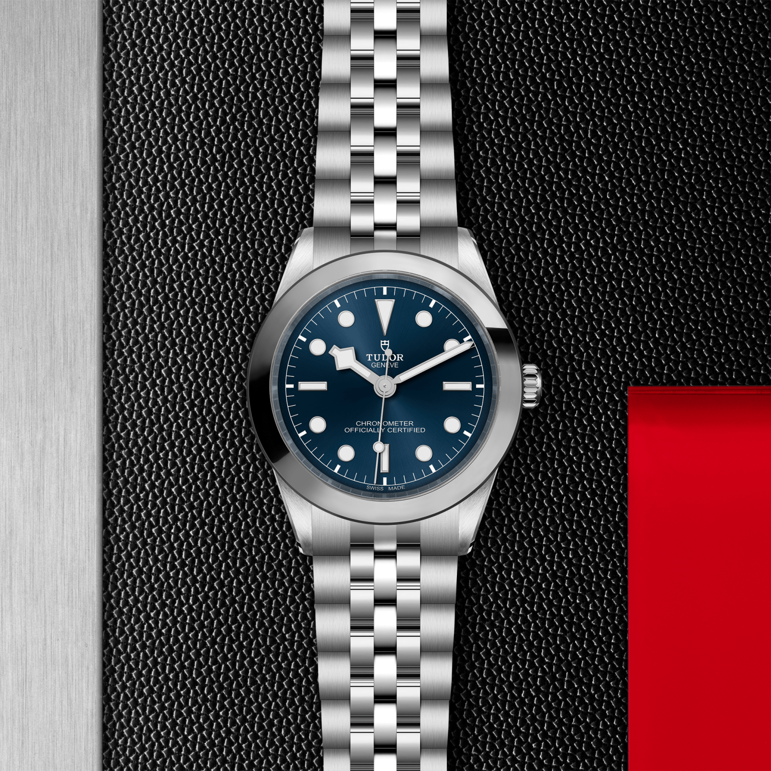 Tudor Black Bay