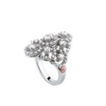 DAMIANI