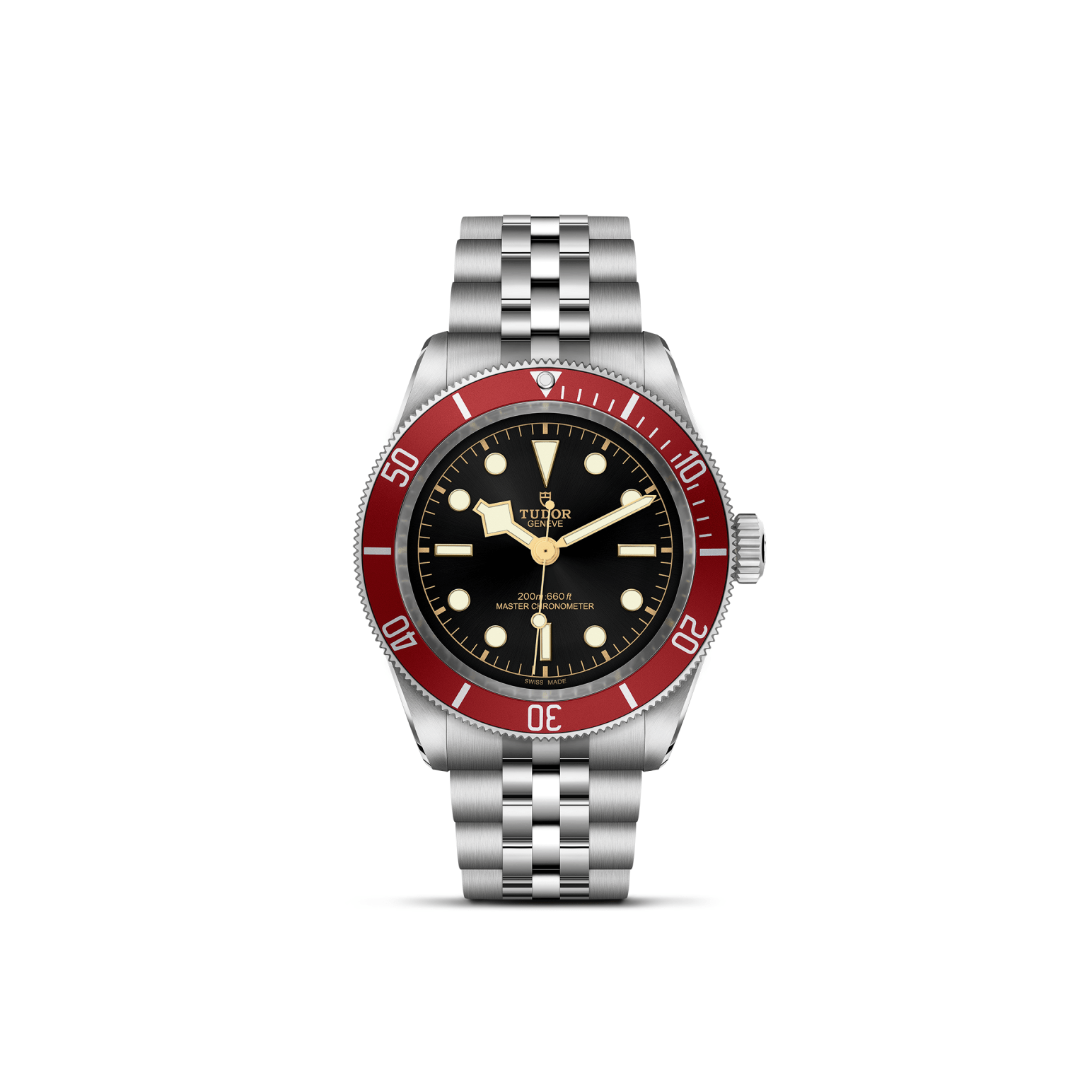 Tudor Black Bay