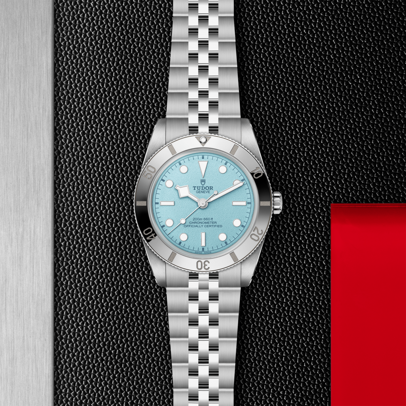 Tudor Black Bay