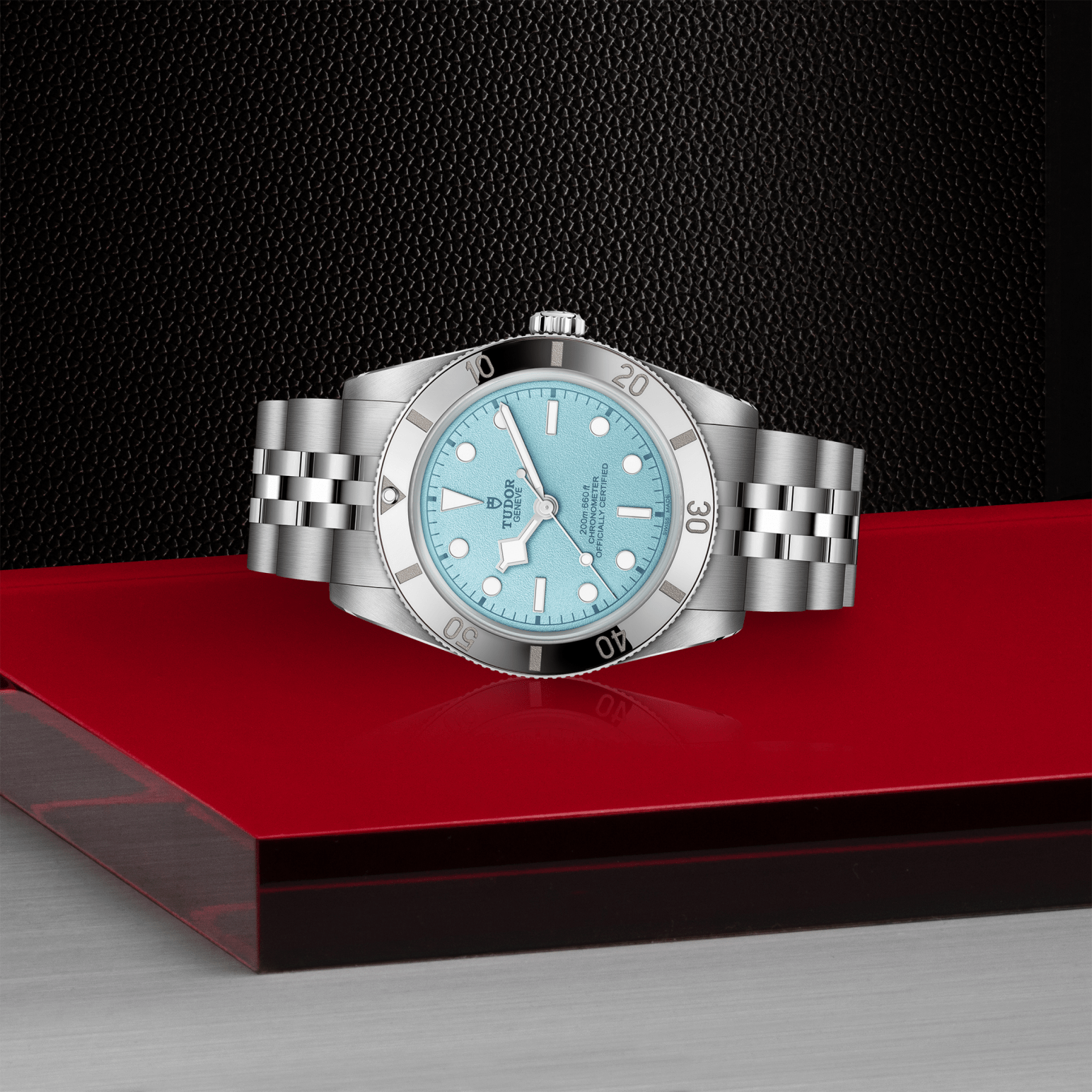 Tudor Black Bay