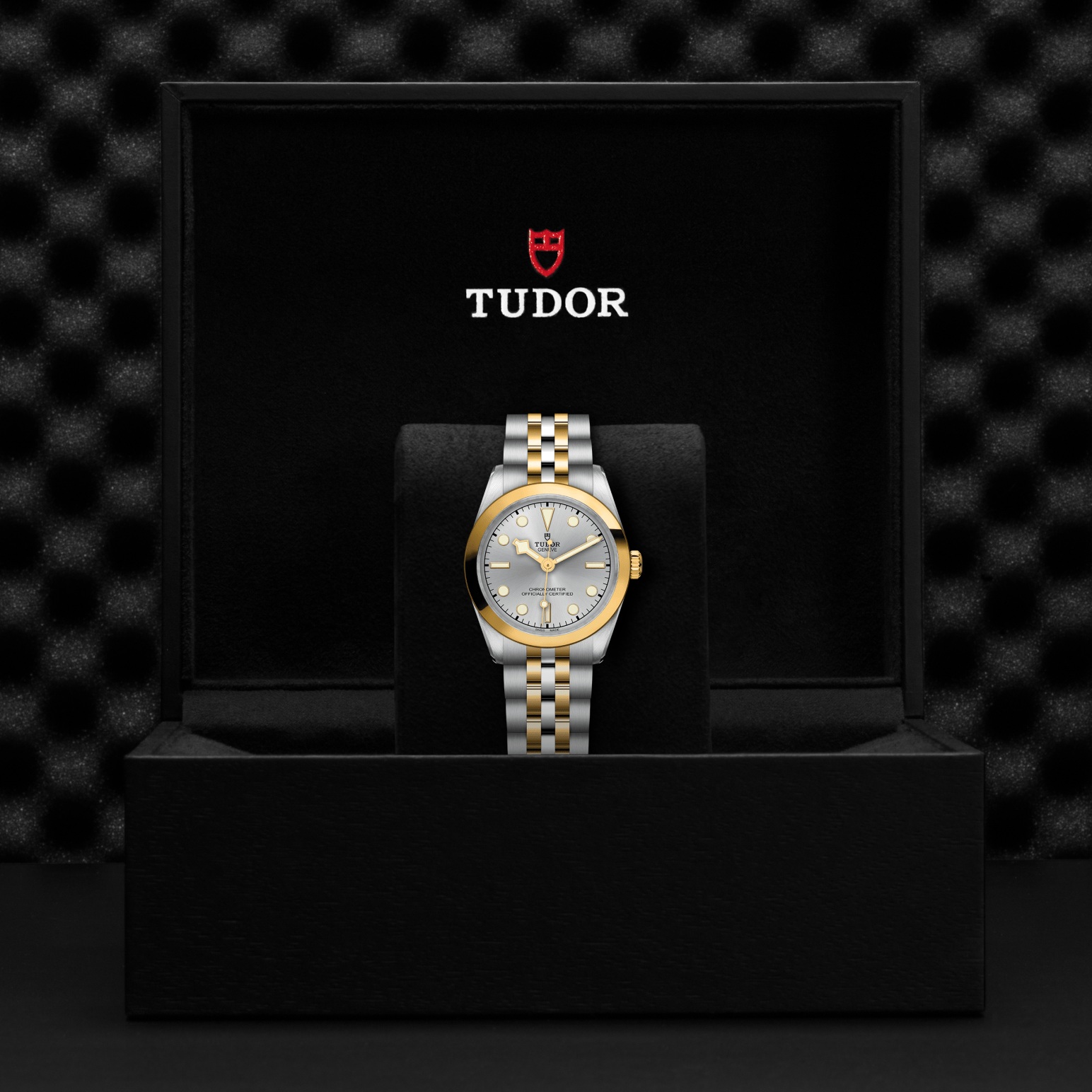 Tudor Black Bay One