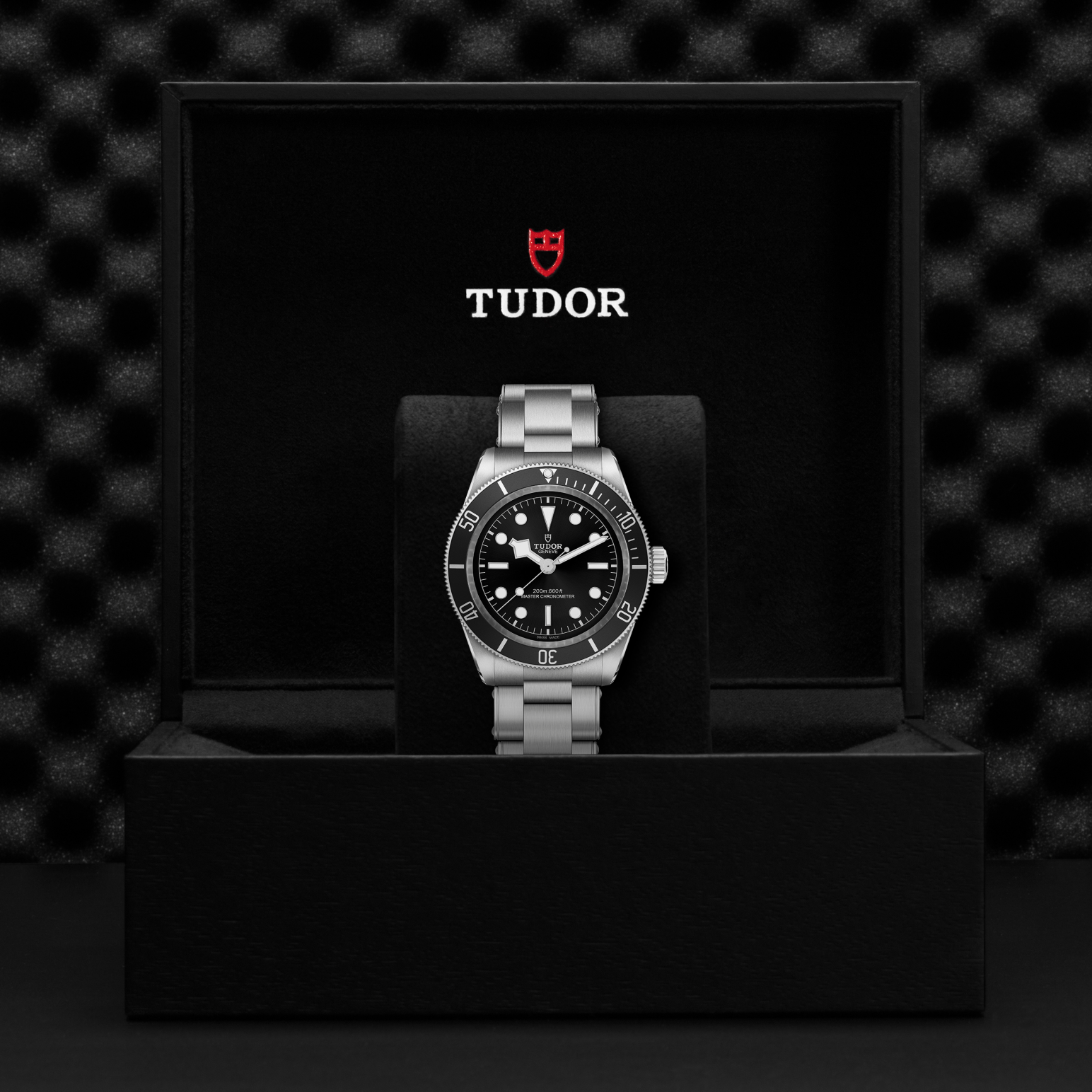 Tudor Black Bay