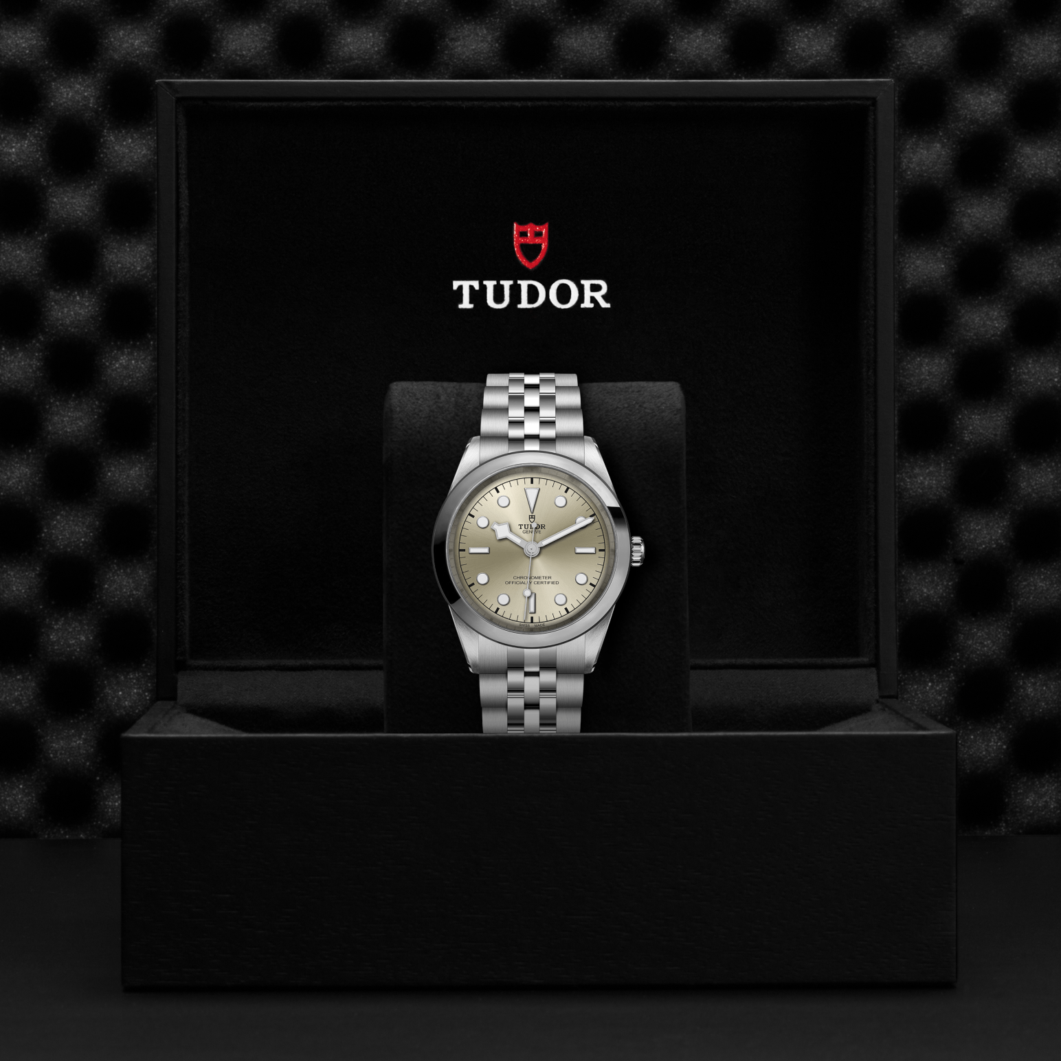 Tudor Black Bay One