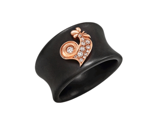 Immagine Anello Logo Titanio nero e brill.